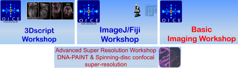 New Workshops Scheduled for 2025 @ FAU OICE